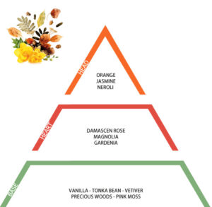 AUTUMN concentrated sanitizing laundry essence